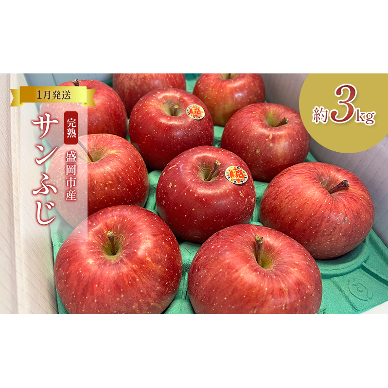先行予約【1月発送】盛岡北田りんご園 完熟サンふじ詰め合わせ 約3kg(8~12玉)