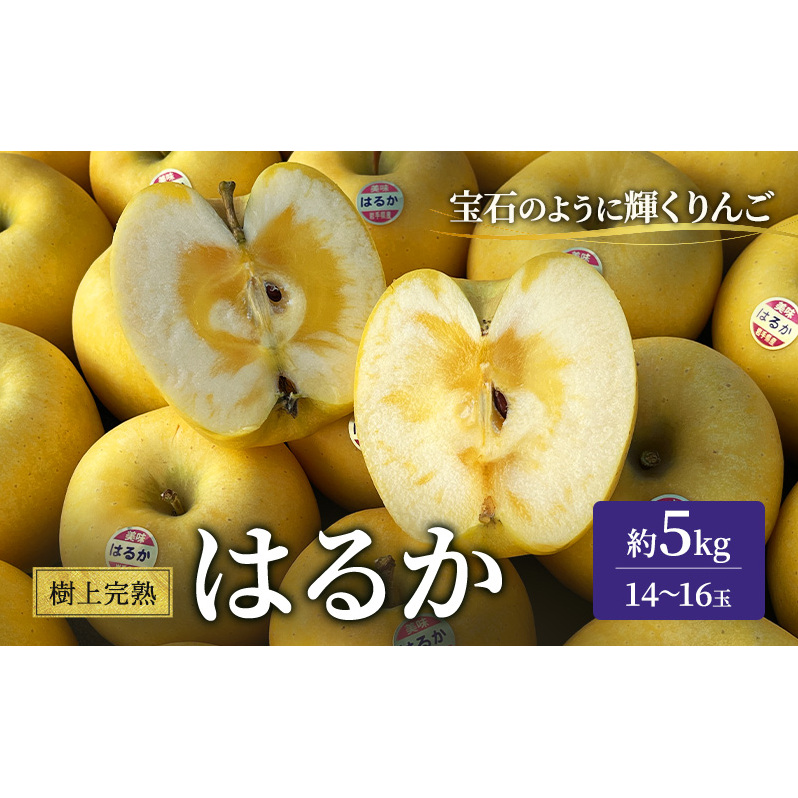 りんご 岩手 樹上完熟 はるか 約 5kg 14~16玉 希少 極上品 フルーツ 果物 おやつ 冬 旬 旬のフルーツ 旬の果物 お取り寄せ 取り寄せ 産地直送 生産者直送 岩手県 盛岡 盛岡市 予約 2025 2025年 年内発送