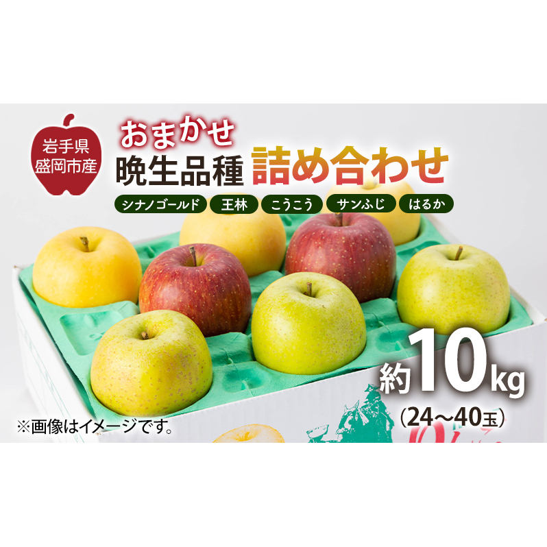 盛岡から「農で人をつなぐ」藤与果樹園:おまかせ晩生品種詰め合わせ(シナノゴールド、王林、こうこう、サンふじ、はるか、金星、ぐんま名月、シナノスイート等から2種以上)10kg フルーツ 果物 旬のフルーツ 旬の果物 旬 冬 岩手 盛岡 産地直送 玉数指定不可 詰め合わせ 岩手 盛岡