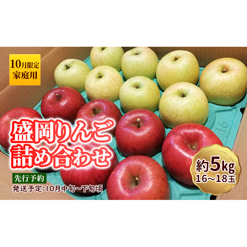 10月限定 りんご 『盛岡りんご』生果実 家庭用 約5kg(18~16個) 箱 詰め合わせ 盛岡市 下久保農園産