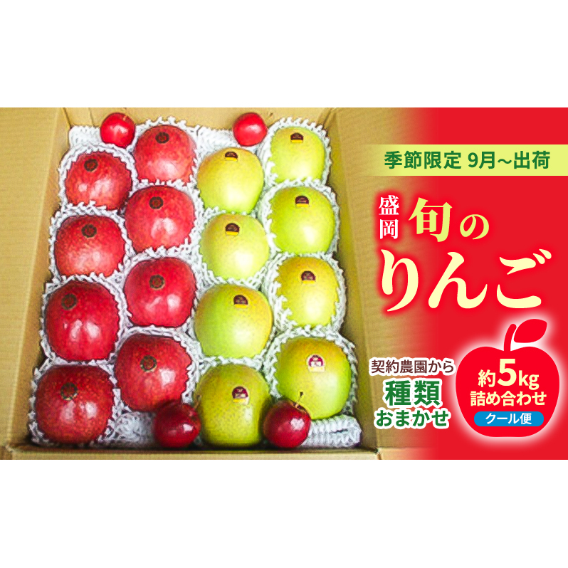 盛岡 旬のりんご《種類おまかせ！》 約5キロ詰め合わせ 《季節限定9月～出荷》《クール便》《契約農園から》 岩手県盛岡市 Jre