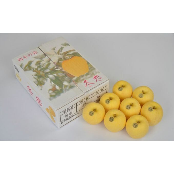 ★季節限定★冬恋はるか(2.5kg/8~11個)【季節限定・数量限定】