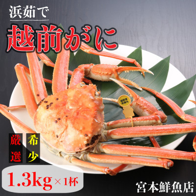 [2026年2月より順次発送][浜茹で]越前がに 1.3kg以上×1杯[配送不可地域:離島・北海道・沖縄]