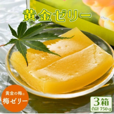 夏の水羊羹!「黄金ゼリー」 250g × 3箱(計750g)自慢の白餡と「黄金梅」ピューレのコラボ!【配送不可地域：離島】【1650448】