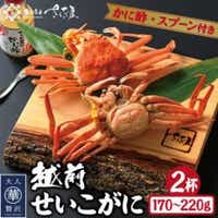 浜茹で越前せいこがに約170〜220g2杯 かに酢&かにスプーン付き[配送不可地域:離島]