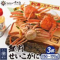 浜茹で越前せいこがに約150〜170g3杯 かに酢&かにスプーン付き[配送不可地域:離島]
