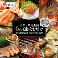 2023年5月発送開始『定期便』≪6ヵ月連続お届け≫漁師厳選!越前の旨いお魚お楽しみ定期便全6回【配送不可地域：離島】【5079175】