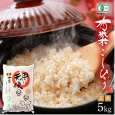 【有機栽培 JAS認証】 越前コシヒカリ 5kg 令和5年産 福井県産【玄米】【1411267】