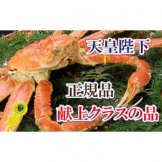 桐箱入り!皇室献上級 誉れ高き越前がに ×1杯 ≪浜茹で≫【12・1月発送分】【配送不可地域:離島】【1264321】