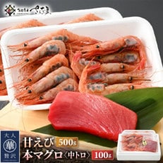 お刺身 セット 甘海老 250g×2P & 本まぐろ 中トロ 100g×1P[配送不可地域:離島]