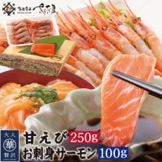 お刺身 セット 甘海老 250g×1P & お刺身 サーモン 100g×1P[配送不可地域:離島]