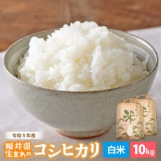 令和7年産　コシヒカリ(精米)　10kg【1465394】