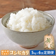 【毎月定期便】コシヒカリ 5kg × 6回 福井県産[白米]全6回【4006150】
