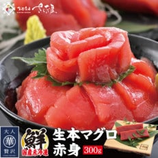 「生本まぐろ」赤身 300g(2~3柵)【配送不可地域:離島・北海道・沖縄】【1299580】
