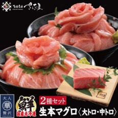 国産生本マグロ 大トロと中トロ 2種セット 合計300g【配送不可地域:離島・北海道・沖縄】【1346573】