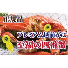 桐箱入り!四番蟹 至福のプレミアム越前がに × 1杯 ≪生≫【2・3月発送分】【配送不可地域:離島・北海道・沖縄・四国・九州】【1374272】
