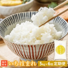 【毎月定期便】いちほまれ 5kg 福井県産[白米]全6回【4010915】