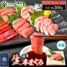 国産生本マグロ 赤身・中トロ・大トロ3種セット 計約300g【配送不可地域:離島・北海道・沖縄】【1513466】