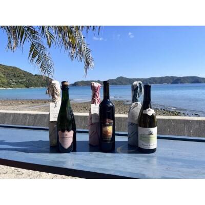 tlass-2025 2nd Edition-海底熟成前後飲み比べワイン 白・赤・スパークリング6本【配送不可地域:離島】【1642091】