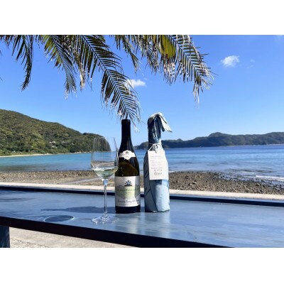 tlass-2025 2nd Edition-海底熟成前後飲み比べ白ワイン【配送不可地域：離島】【1642093】