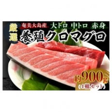 奄美大島産養殖クロマグロ(4柵セット)【配送不可地域:離島】【1402681】