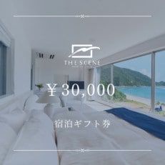 THE SCENE 宿泊ギフト券 30,000円分【1402317】