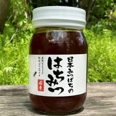 【青森県十和田市産】日本みつばち蜂蜜550g【配送不可地域:離島】【1414003】