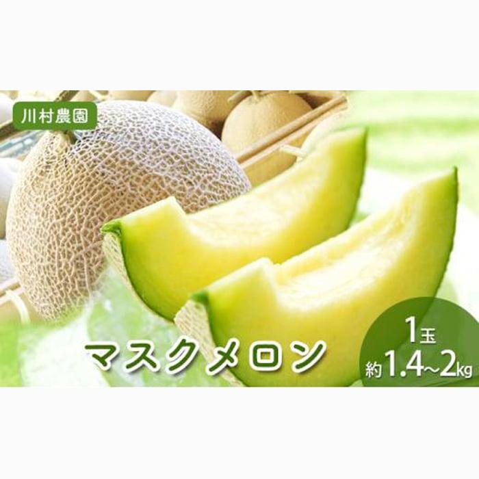 【静岡・三保松原の甘い誘惑マスクメロン】甘さあふれる！マスクメロン 1玉（約1.4kg～2kgサイズ）■
