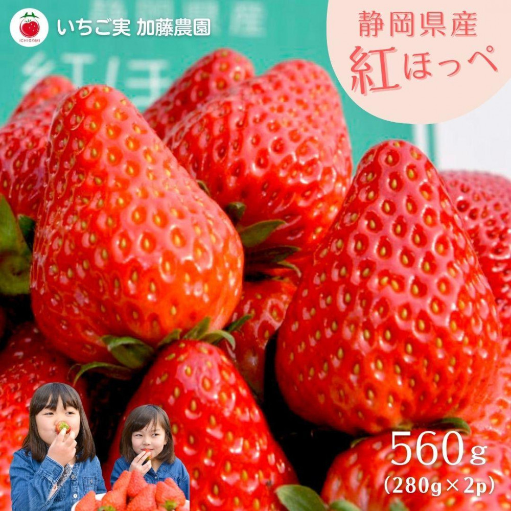 【2026年出荷の先行予約】静岡県産いちご 紅ほっぺ 280g×2パック(1パック12~15粒) 冷蔵配送【配送不可:北海道・沖縄・離島】 苺 フルーツ◇