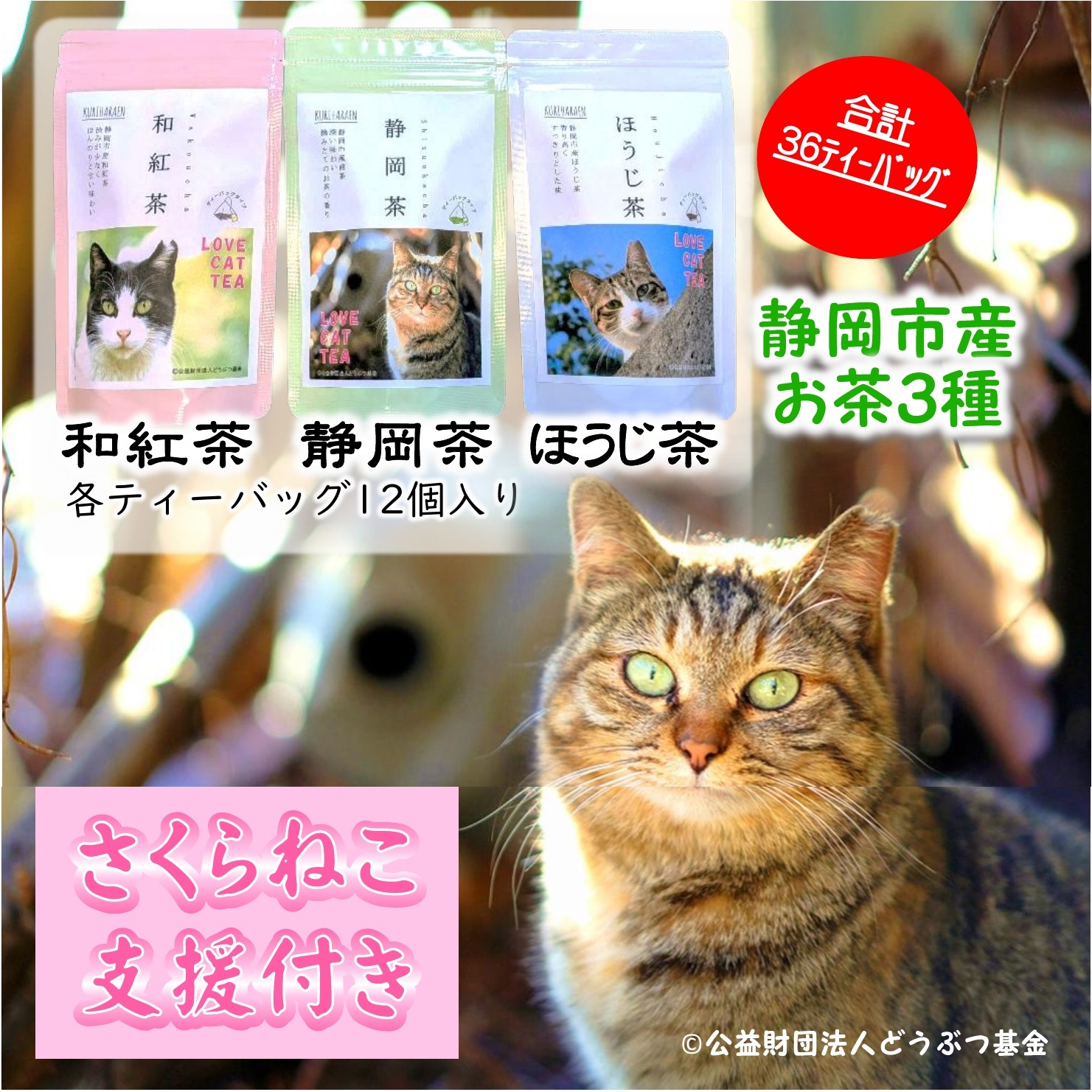 【さくらねこTNR活動支援】静岡市産茶ティーバッグ3種類（静岡茶・ほうじ茶・和紅茶）各12個入 計36ティーバッグ