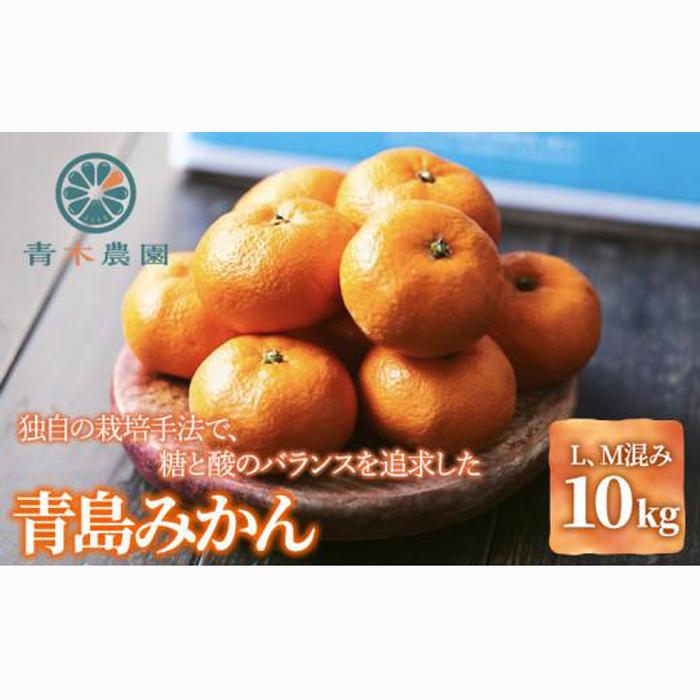 【2026年1月中旬より順次発送】青木農園 青島みかん 10kg【配送不可:離島】◇