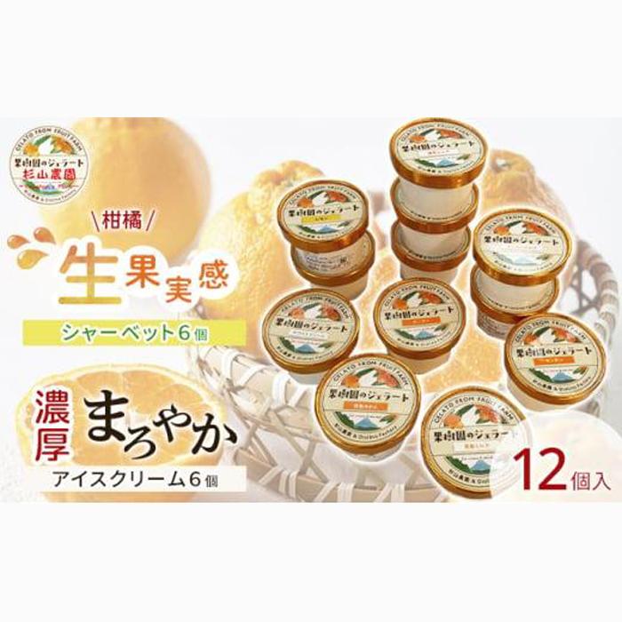 果樹園のジェラート 柑橘食べ比べ12個セット 100ml×12個 冷凍 ギフト アイスクリーム シャーベット□