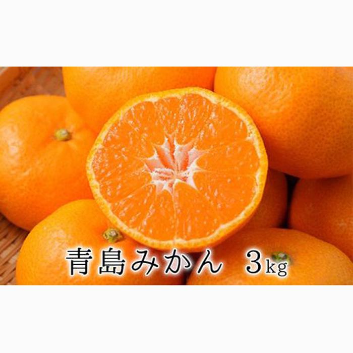 【2027年1月中旬より順次発送】甘さと酸味がマッチ　青島みかん3kg