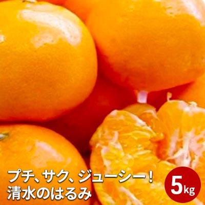 【2026年2月上旬より順次発送】プチ、サク、ジューシー!清水のはるみ 5kg 【配送不可:離島】◆