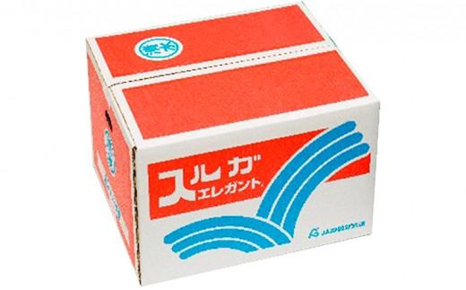 【2026年3月中旬より順次発送】駿河湾の太陽をサンサンと浴びたスルガエレガント!【配送不可:離島】◆