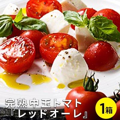 【12月より順次発送】完熟中玉トマト『レッドオーレ』1箱1kg  5,000円