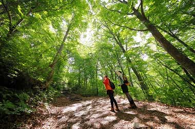青森県西目屋村