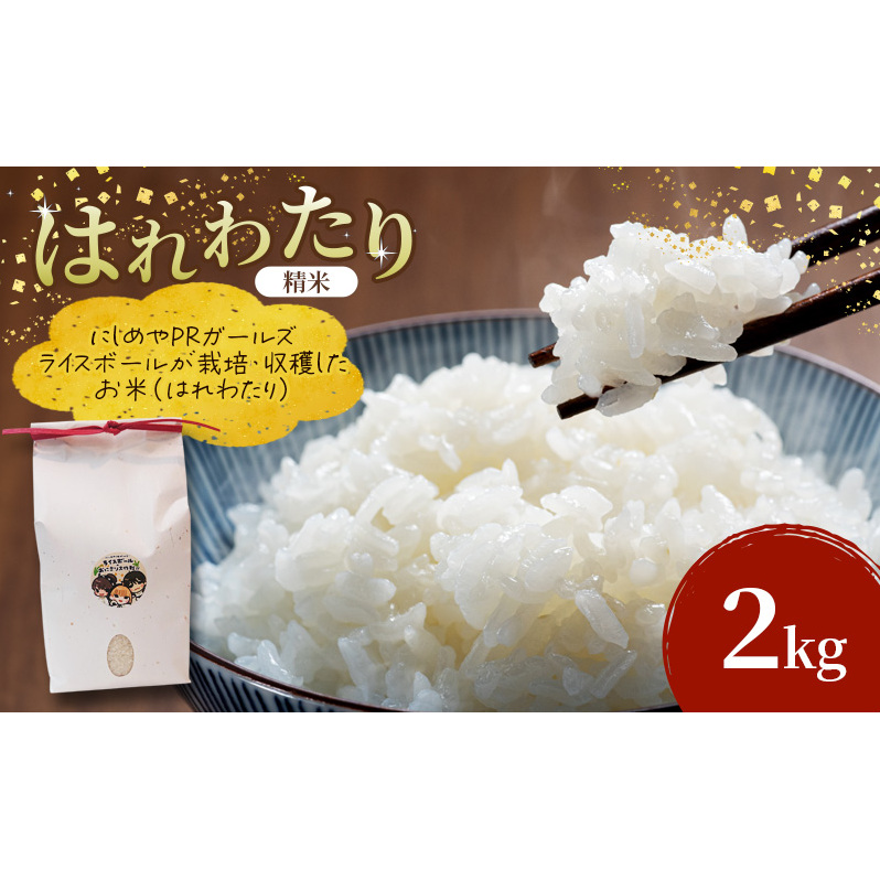 R7年産 ライスボール はれわたり 2kg お米 米 ライス rice 国産 白米 青森県産 精米 特A おにぎり リゾット 炊き立て 弁当 備蓄 常備 一人暮らし お取り寄せ 常温 青森県 西目屋村