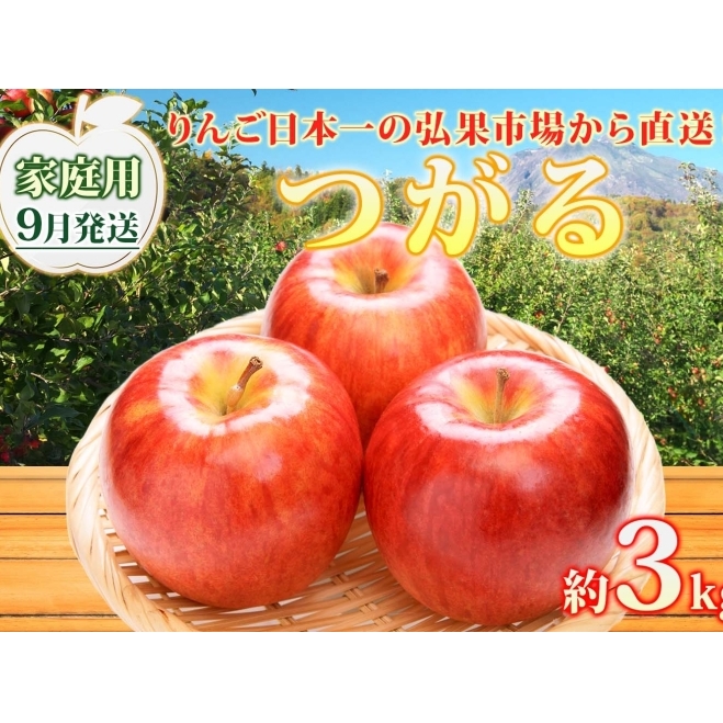 【9月発送】 家庭用 つがる 約3kg リンゴ 林檎 家庭用 りんご 皮ごと 甘い 酸味 シャキシャキ デザート フルーツ 果物 お取り寄せ 産地直送 旬 季節限定 弘果物流 青森県 西目屋村  西目屋村産 青森りんご