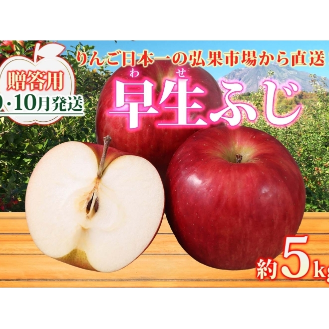 【9月・10月発送】贈答用 早生ふじ 約5kg【西目屋村産・青森りんご】 りんご 林檎 リンゴ 果物 フルーツ くだもの 旬 青森県産 お取り寄せ 詰め合わせ セット 常温 産地直送 送料無料 青森県 西目屋村