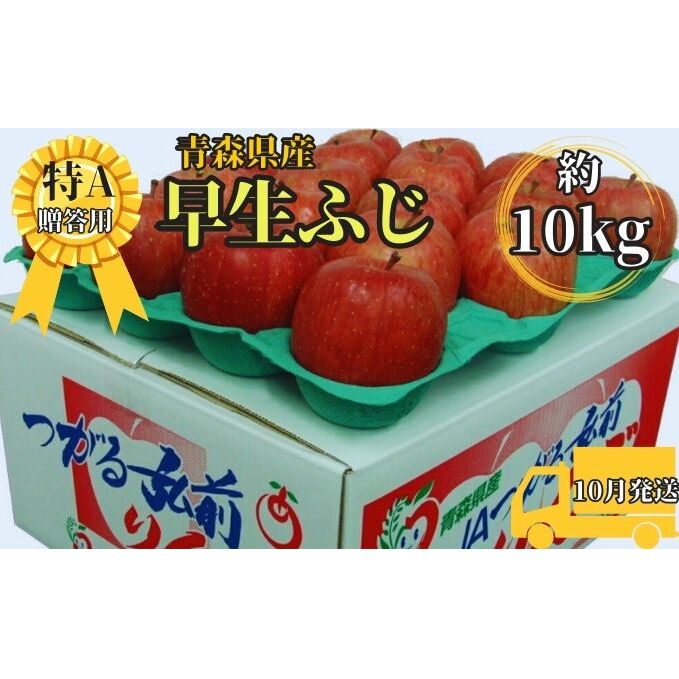 早生ふじ約10kg贈答用【特A】(10月発送)青森県産 果物 りんご 青森りんご 旬のフルーツ 産地直送