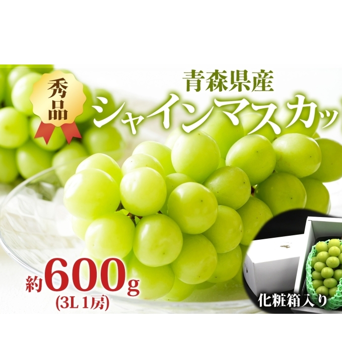 シャインマスカット 秀品 1房 約600g 青森県産 ぶどう ブドウ 葡萄 種なし 大粒 果物 フルーツ くだもの 果実 旬 贈答用 化粧箱 贈り物 人気 お取り寄せ 産地直送 青森県 西目屋村