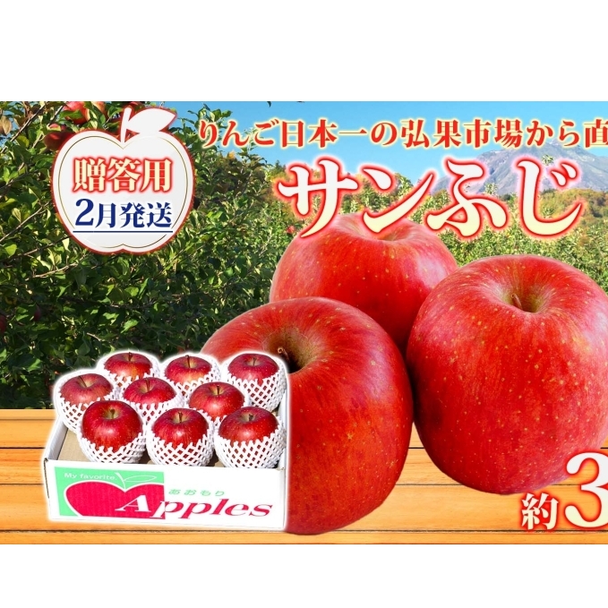 【2月発送】 贈答用 サンふじ 約3kg りんご 林檎 リンゴ 果物 フルーツ くだもの 旬 青森県産 お取り寄せ 贈り物 プレゼント 人気 東北 名産 常温 産地直送 送料無料 青森県 西目屋村