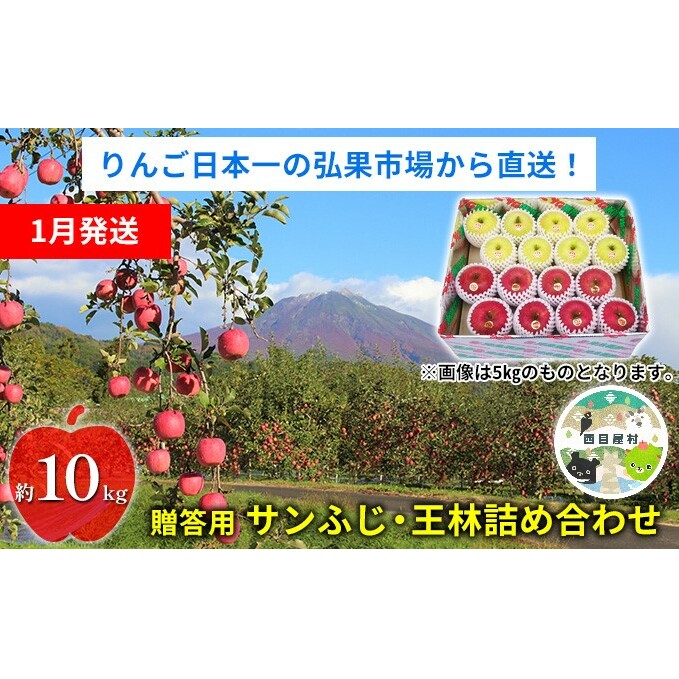 【1月発送】贈答用 サンふじ・王林詰め合わせ 約10kg【青森りんご】
