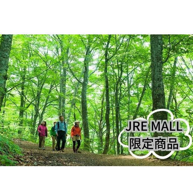 【~10/31まで】【世界遺産白神山地】世界遺産の径・ブナ林満喫コース【ガイド1名付・3~5名様】 体験チケット