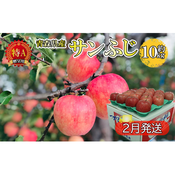サンふじ約10kg 贈答用【特A】(2月発送)青森県産 果物 りんご 青森りんご 旬のフルーツ 産地直送