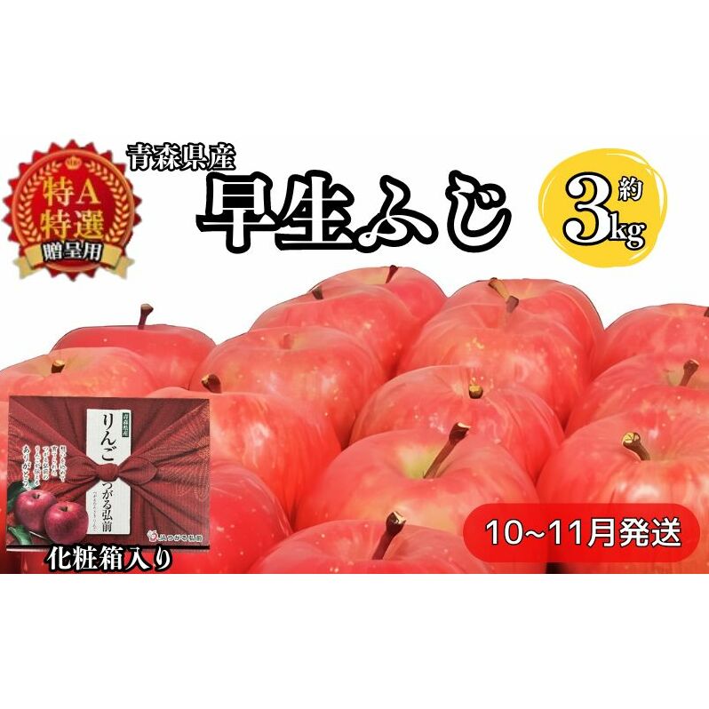 化粧箱入り早生ふじ約3kg贈答用【特A】(10月発送)青森県産 果物 りんご 青森りんご 旬のフルーツ 産地直送