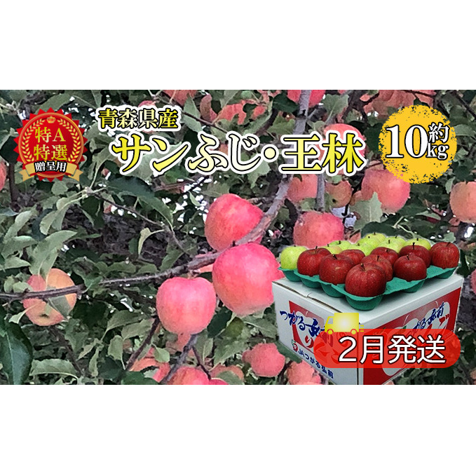 サンふじ・王林約10kg 贈答用【特A・特選】(2月発送)青森県産 果物 りんご 青森りんご 食べ比べ 2種セット 旬のフルーツ 産地直送