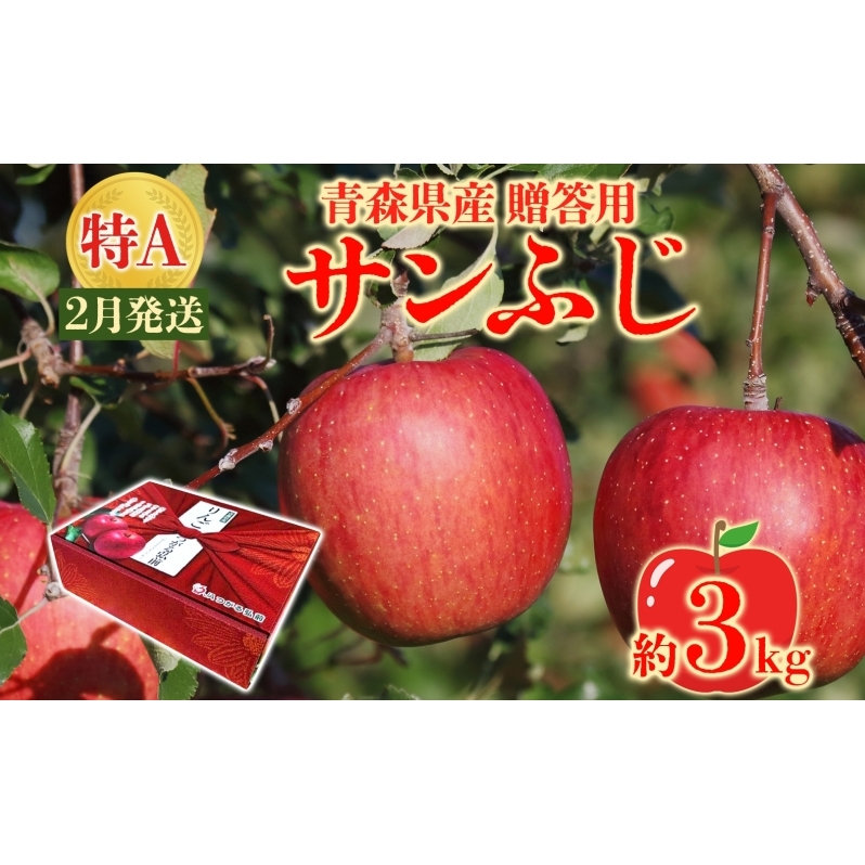 サンふじ 約3kg 贈答用 特A 特選 2月発送 化粧箱入 りんご 林檎 リンゴ 果物 フルーツ くだもの 旬 青森県産 お取り寄せ 贈り物 プレゼント 人気 東北 名産 産地直送 常温 青森県 西目屋村
