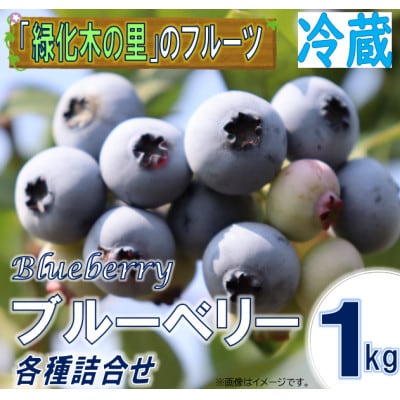 【先行予約/冷蔵】ブルーベリー1kg(各種詰合せ)【配送不可地域：離島・沖縄】【1608646】
